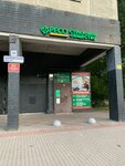 BP-Lermontov (Zanevskiy Avenue, 43), translation agency