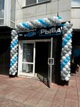 Fishmarket (Krupskoy Street, 31), pescados y mariscos