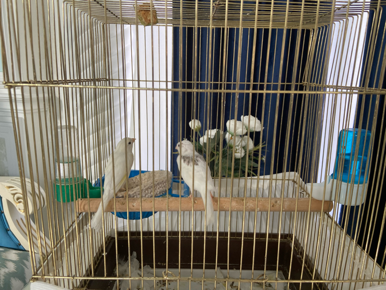 Фото Mirzo Boutique Hotel