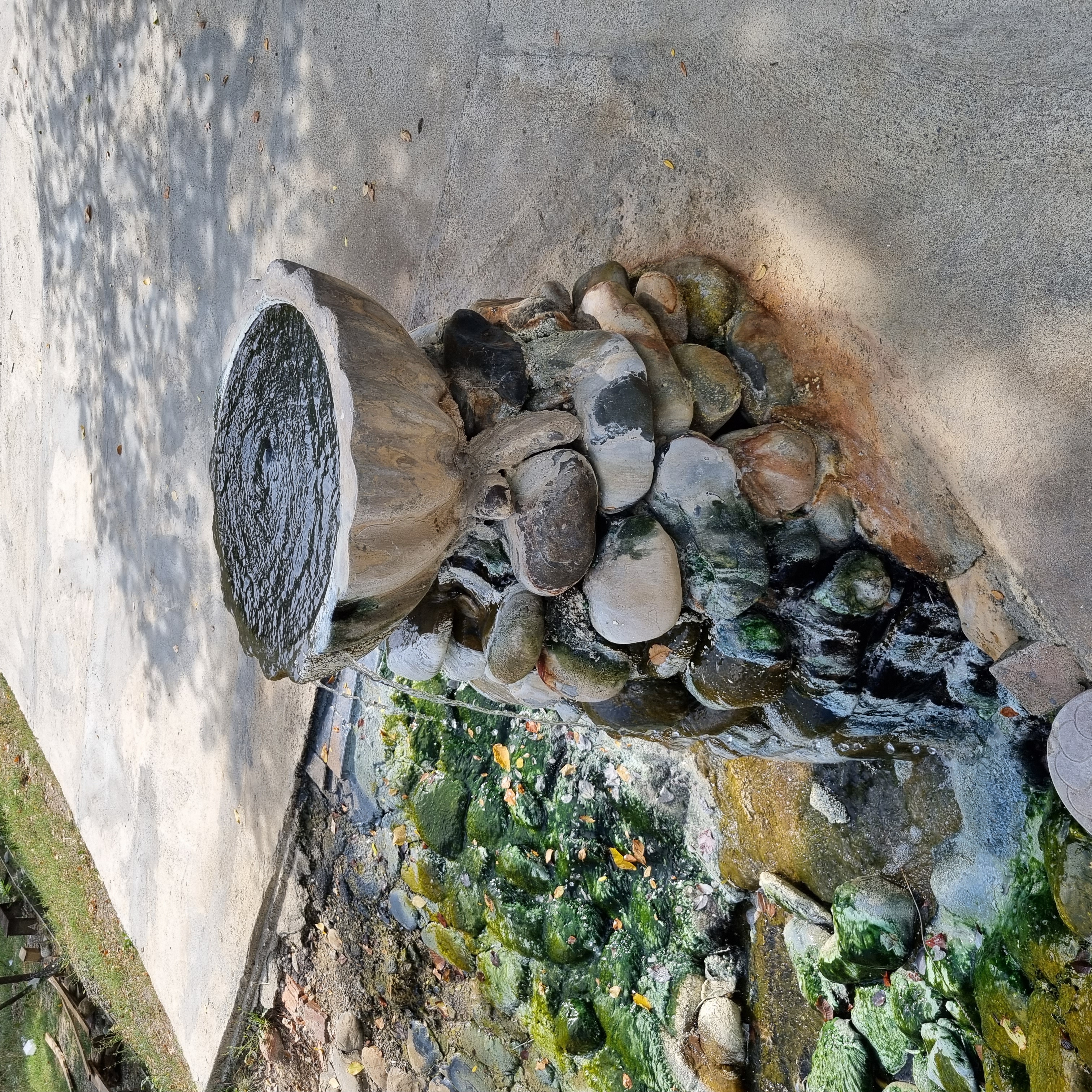 Фото Серноводск-Кавказский