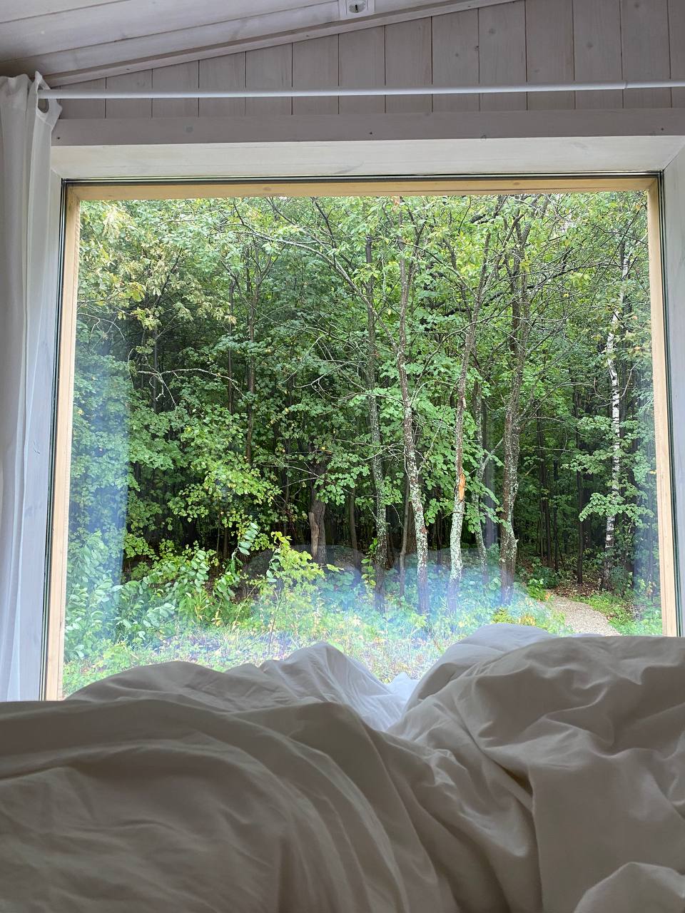 Фото Скандинавия