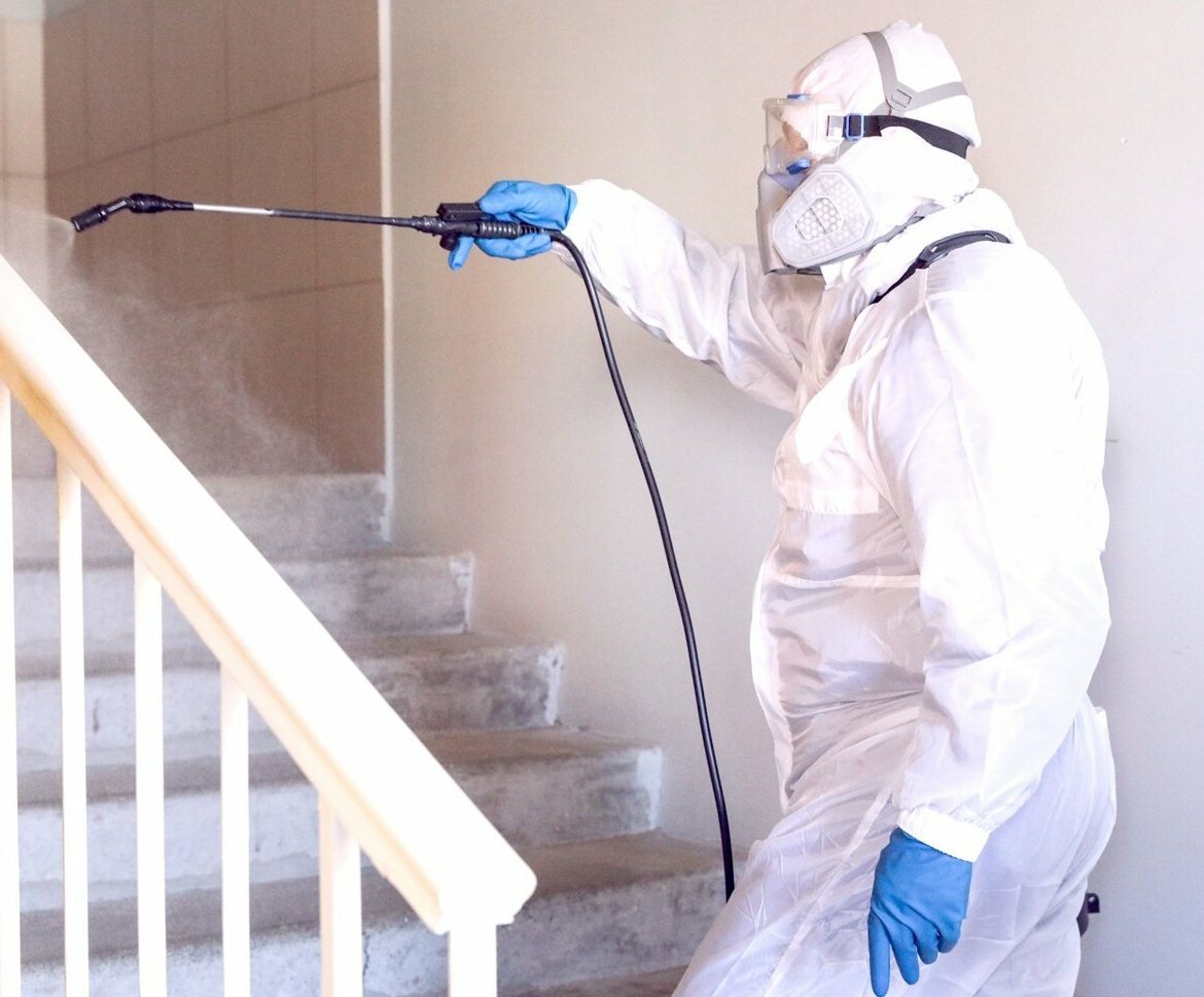 Дератизация и дезинсекция презентация