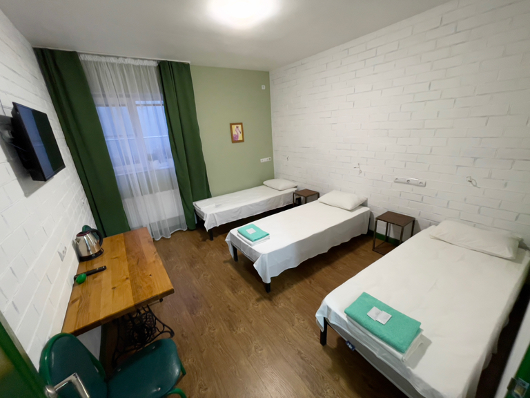 Фото Тополя