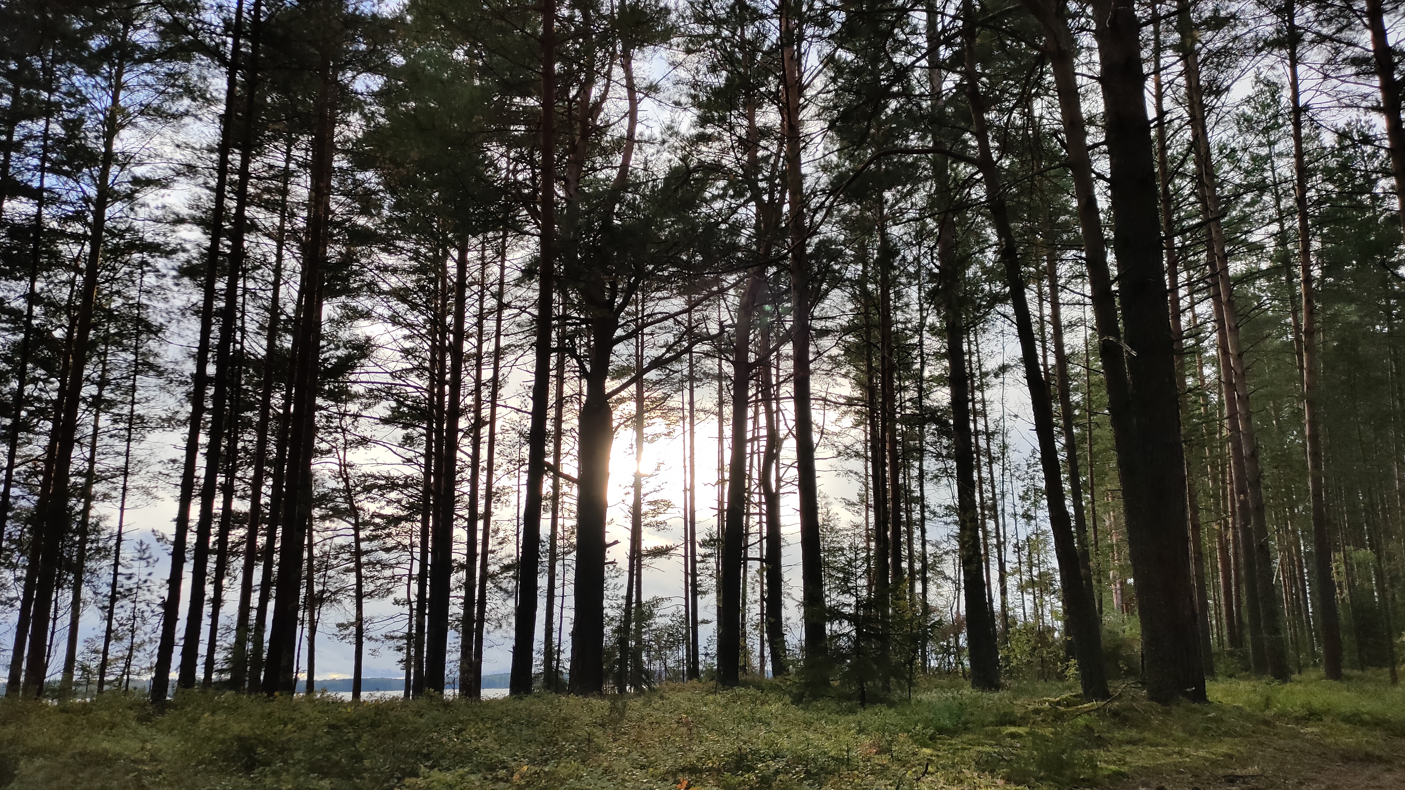 Фото На Острове