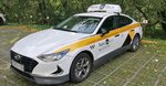 Yandex.Taxi Partner (ulitsa Maltseva, 5), taxi