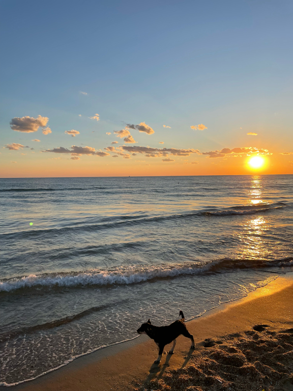 Фото Летняя резиденция Dacha Del Sol Anapa Miracleon
