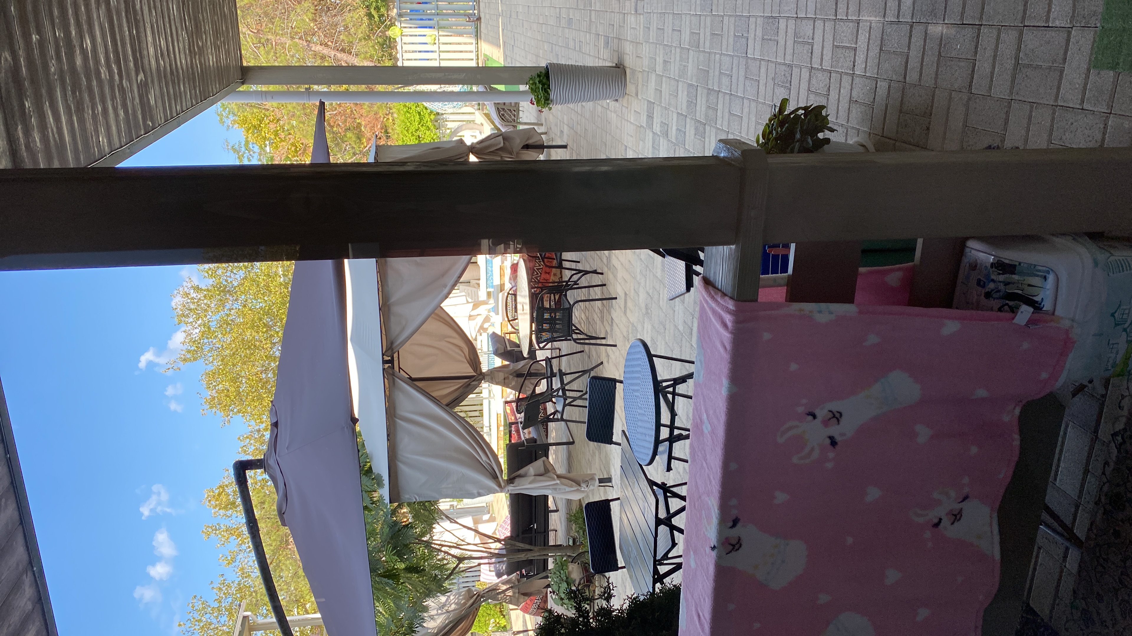 Фото Summer family