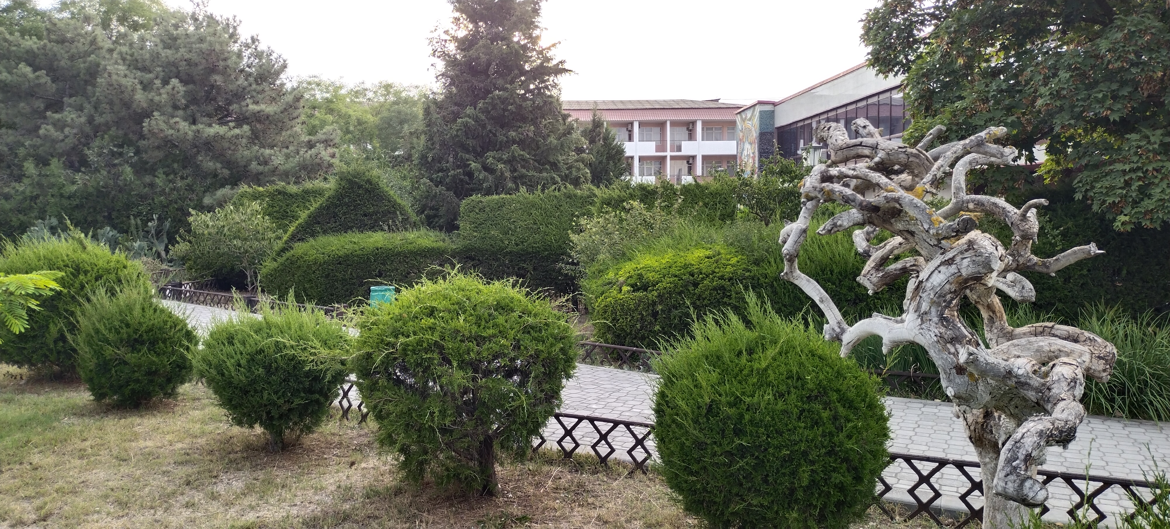 Фото Северный