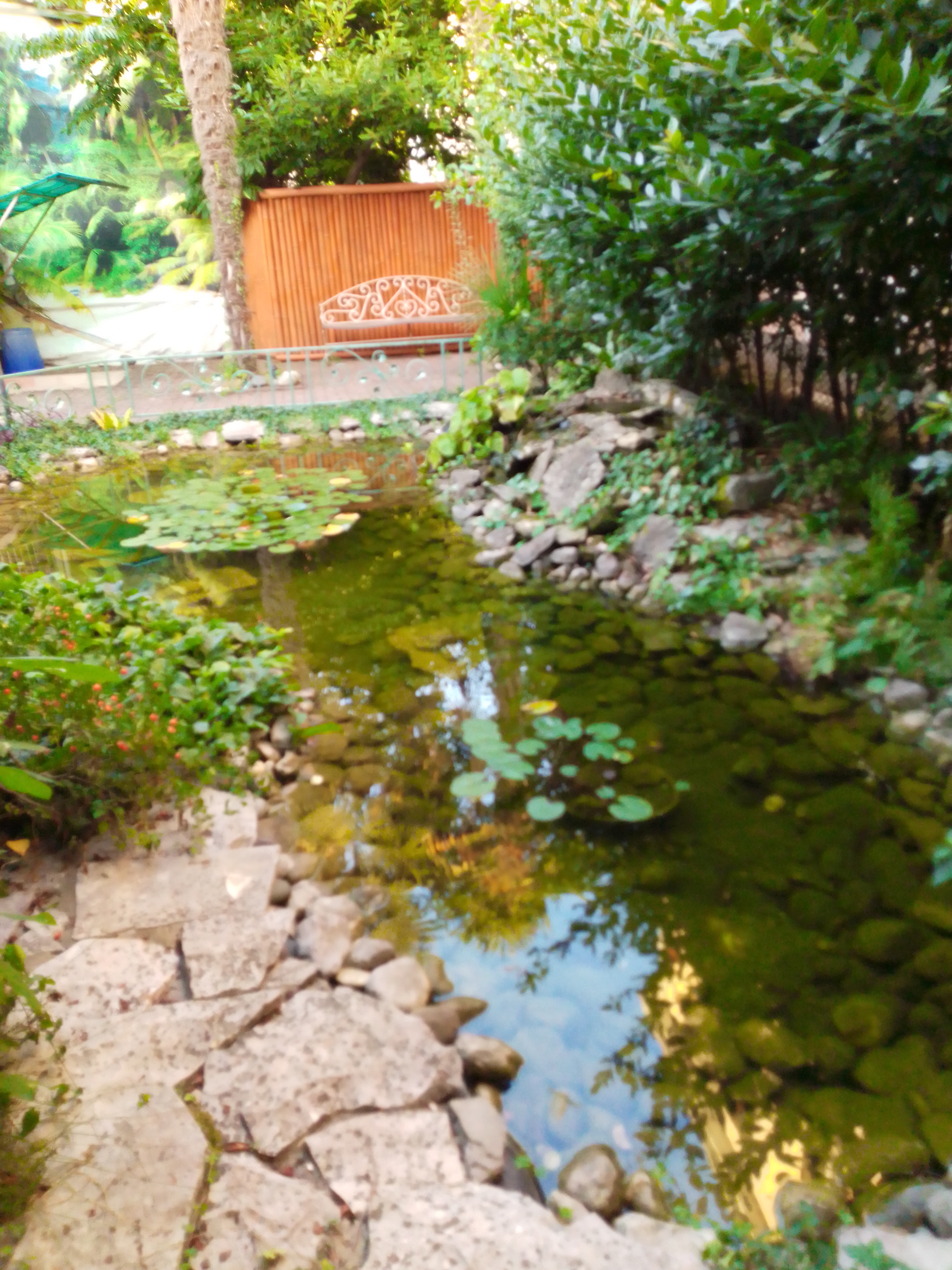 Фото Мини-гостиница Marco Club