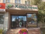 Chameleon (Aleksandr Pýshkın kóshesi, 1) ، صالون تجميل
