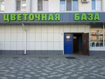 Tsvetochnaya baza (Pobedy Avenue, 49), flower shop