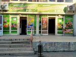 Kalininsky (ulitsa Kalinina, 13А), tienda de productos