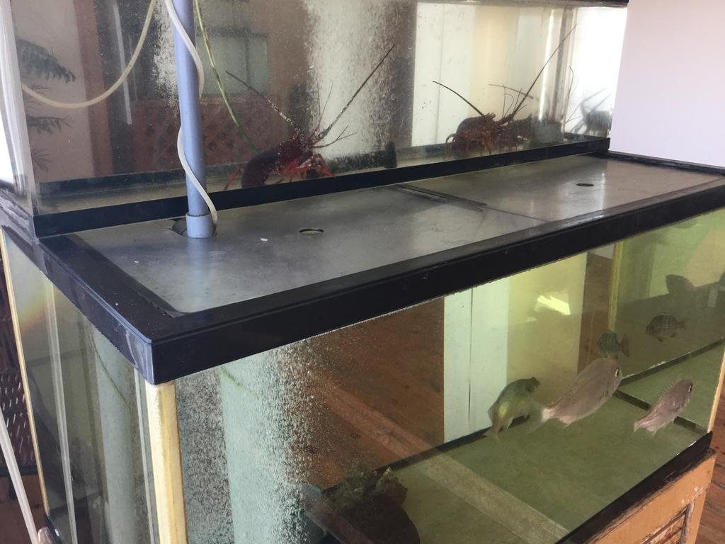 Фото Izu Katase Onsen Ayumitei Fukumatsuso