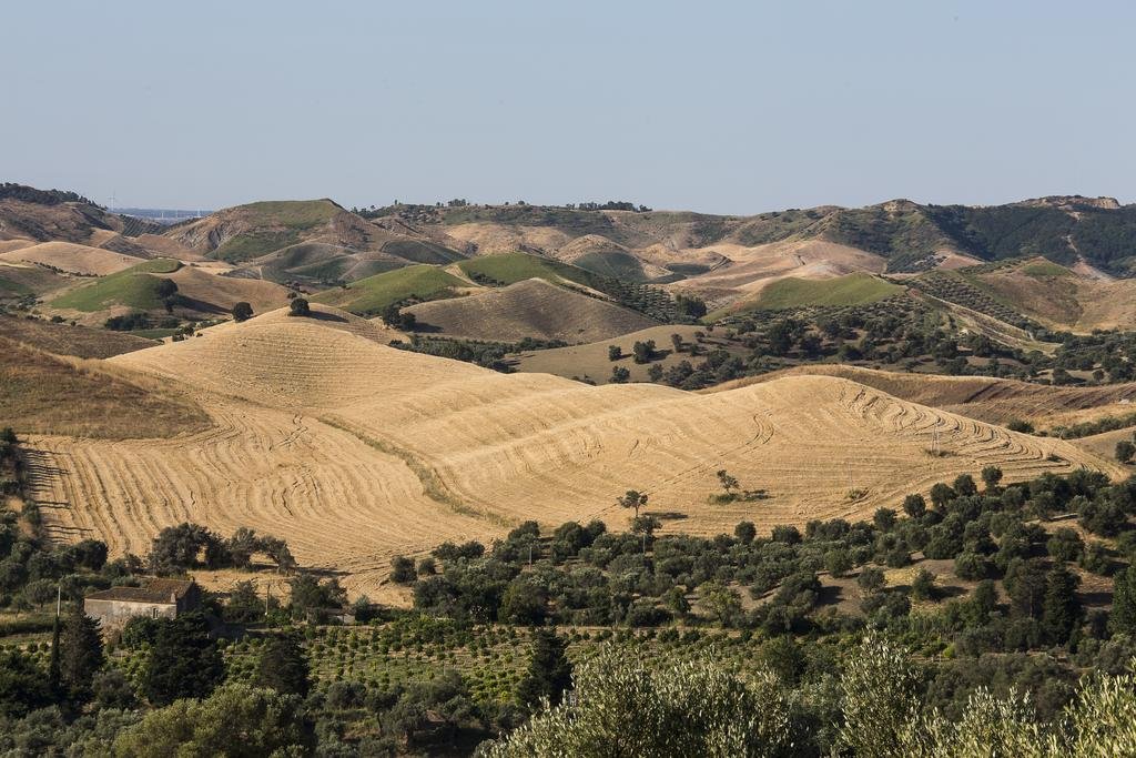 Фото Agriturismo Dattilo
