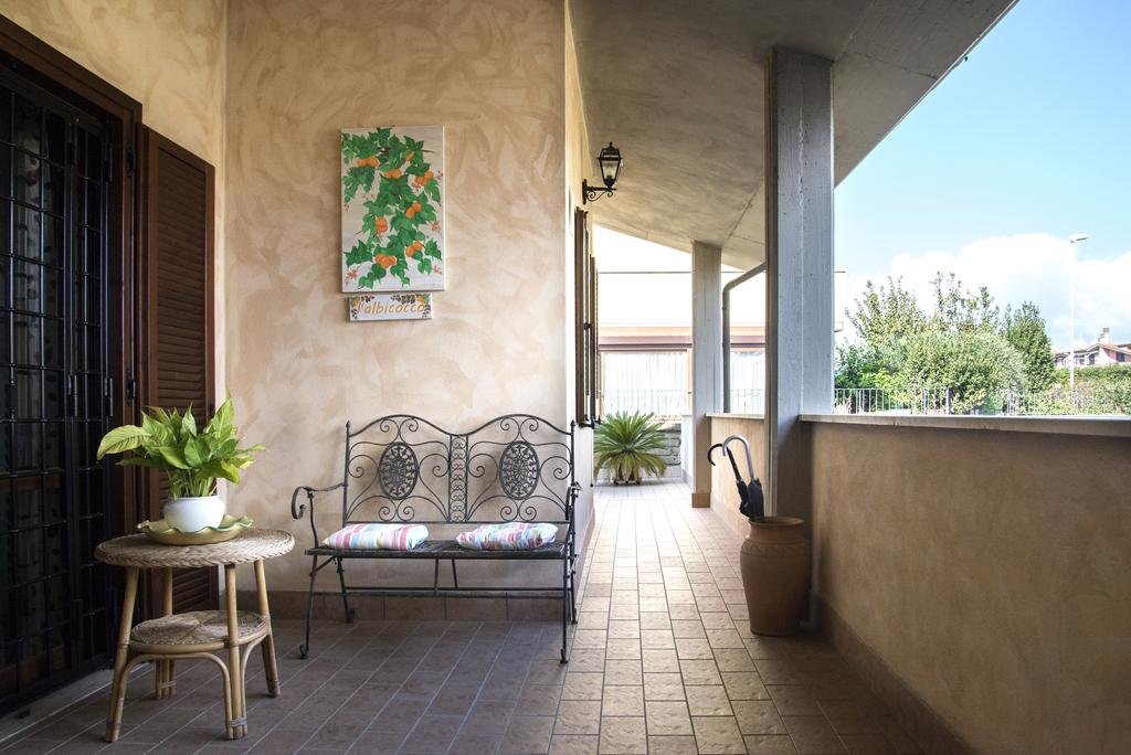 Фото L'Albicocco