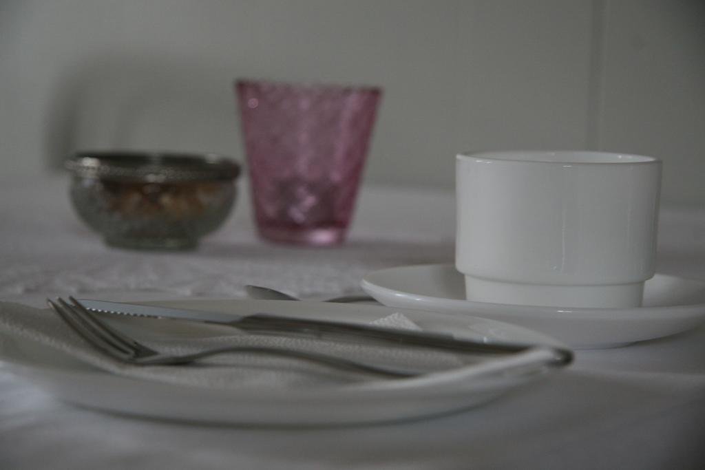 Фото Arbol Guest House