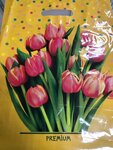 Upakovochka34 (ulitsa 40 let Pobedy, 61Г) ، مواد تعبئة وتغليف