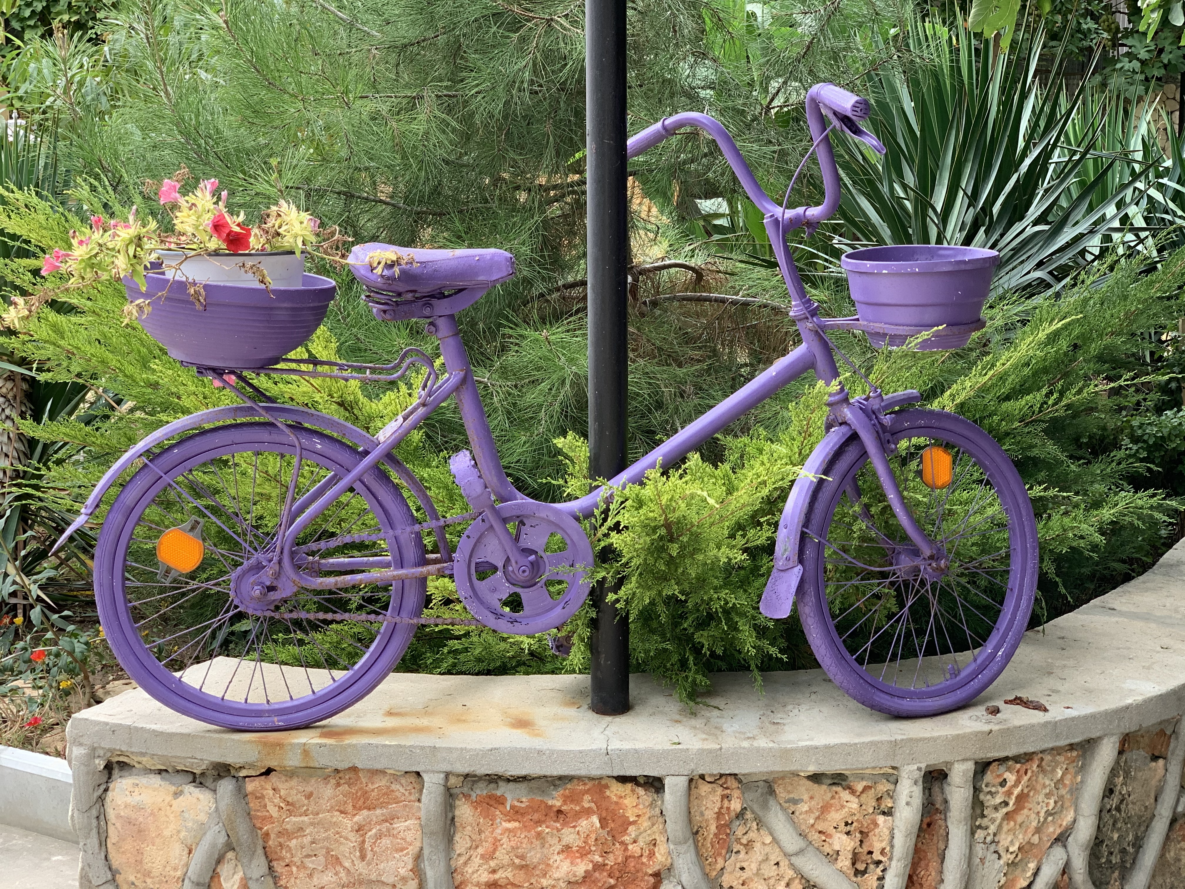 Фото У Борисовны