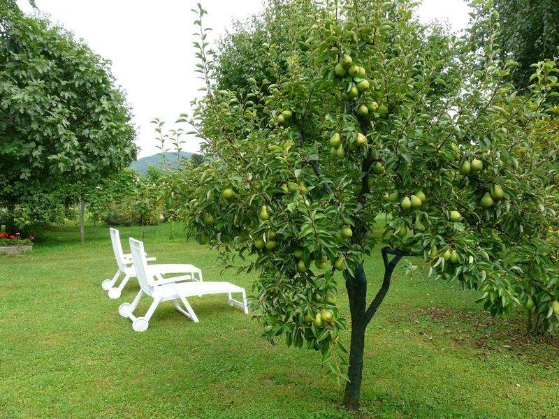 Фото B&b Marie Therese