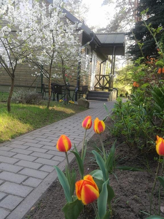 Фото Svečių namelis