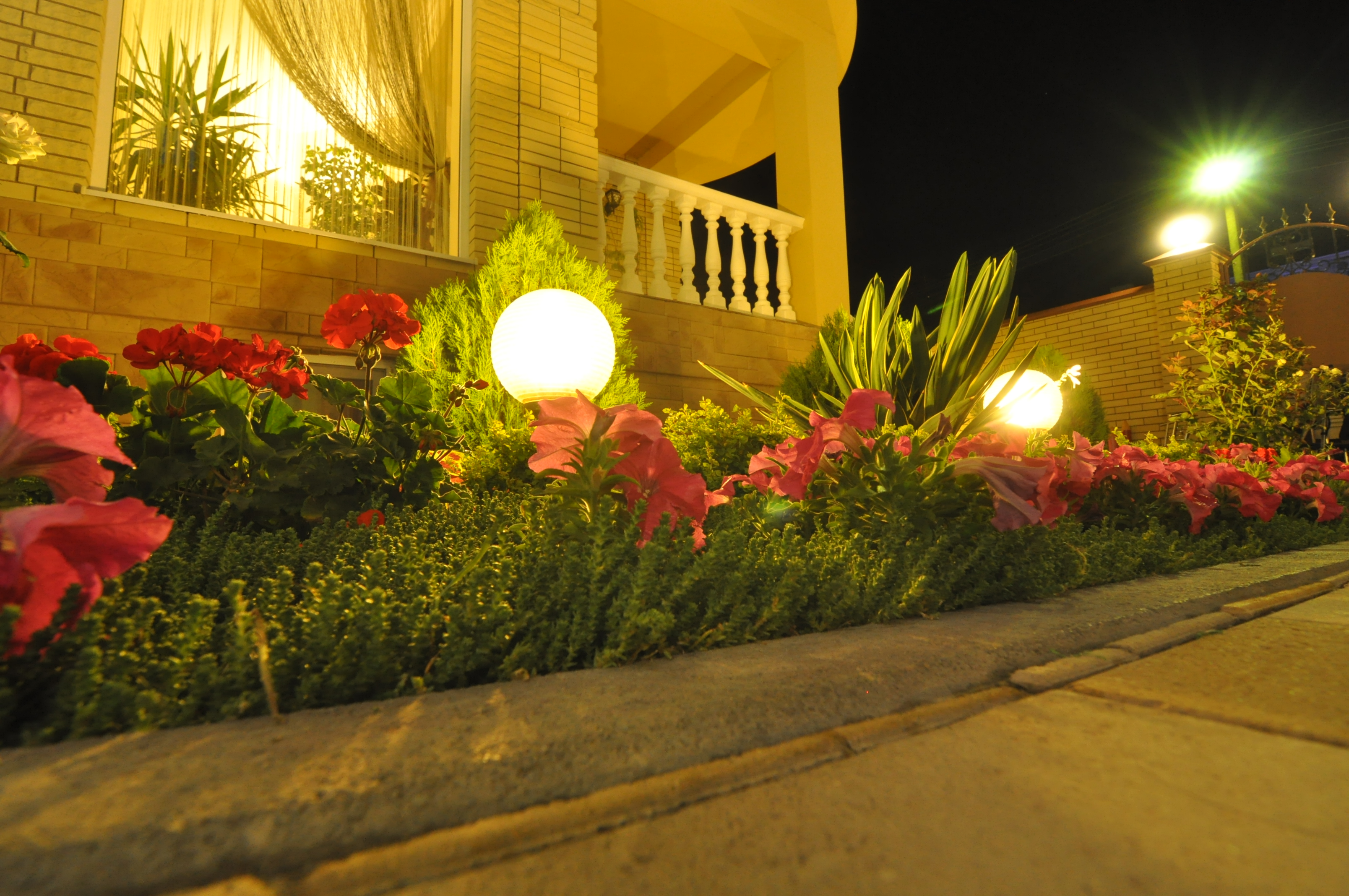 Фото Астория