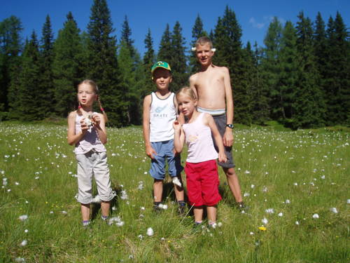 Фото Chalet Rasnerhof