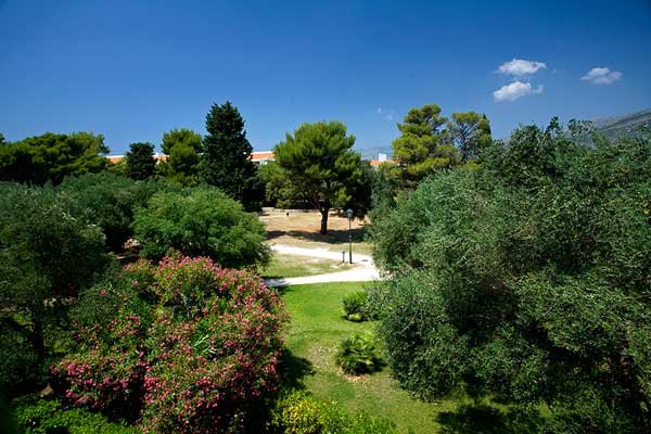 Фото Tirena Sunny Hotel by Valamar