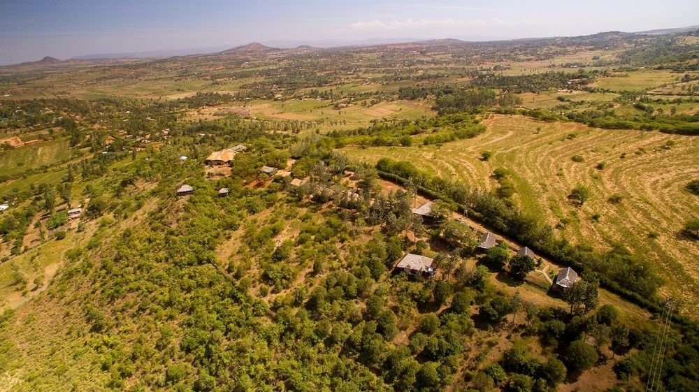 Фото Ngorongoro Forest Tented Lodge - All Inclusive