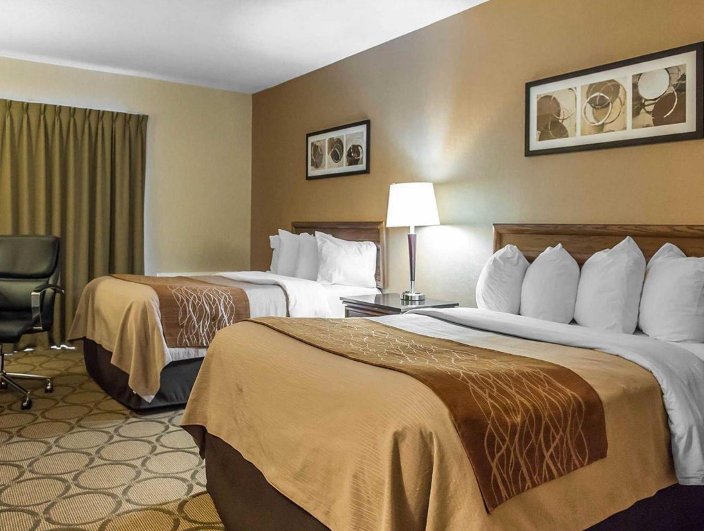 Фото Comfort Inn