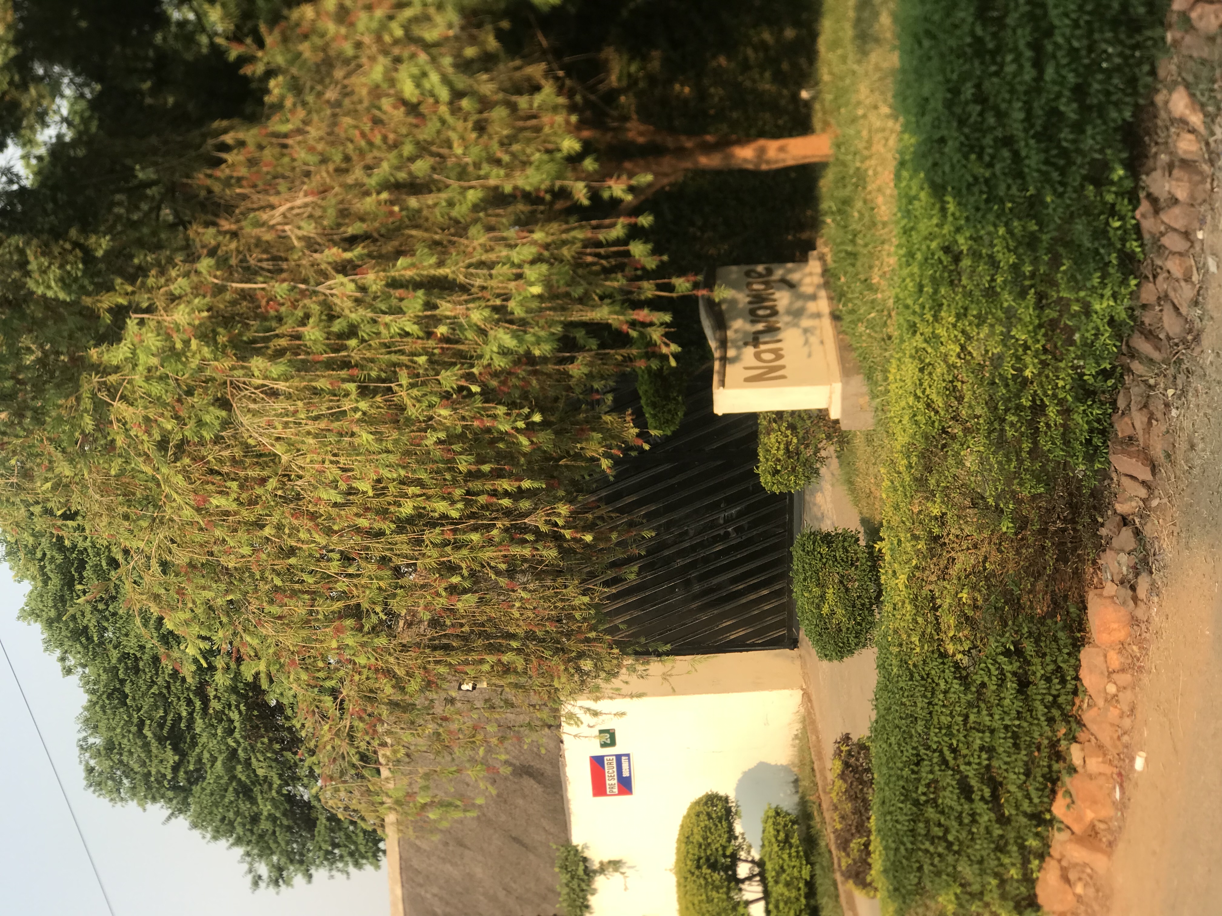 Фото Natwange Backpackers