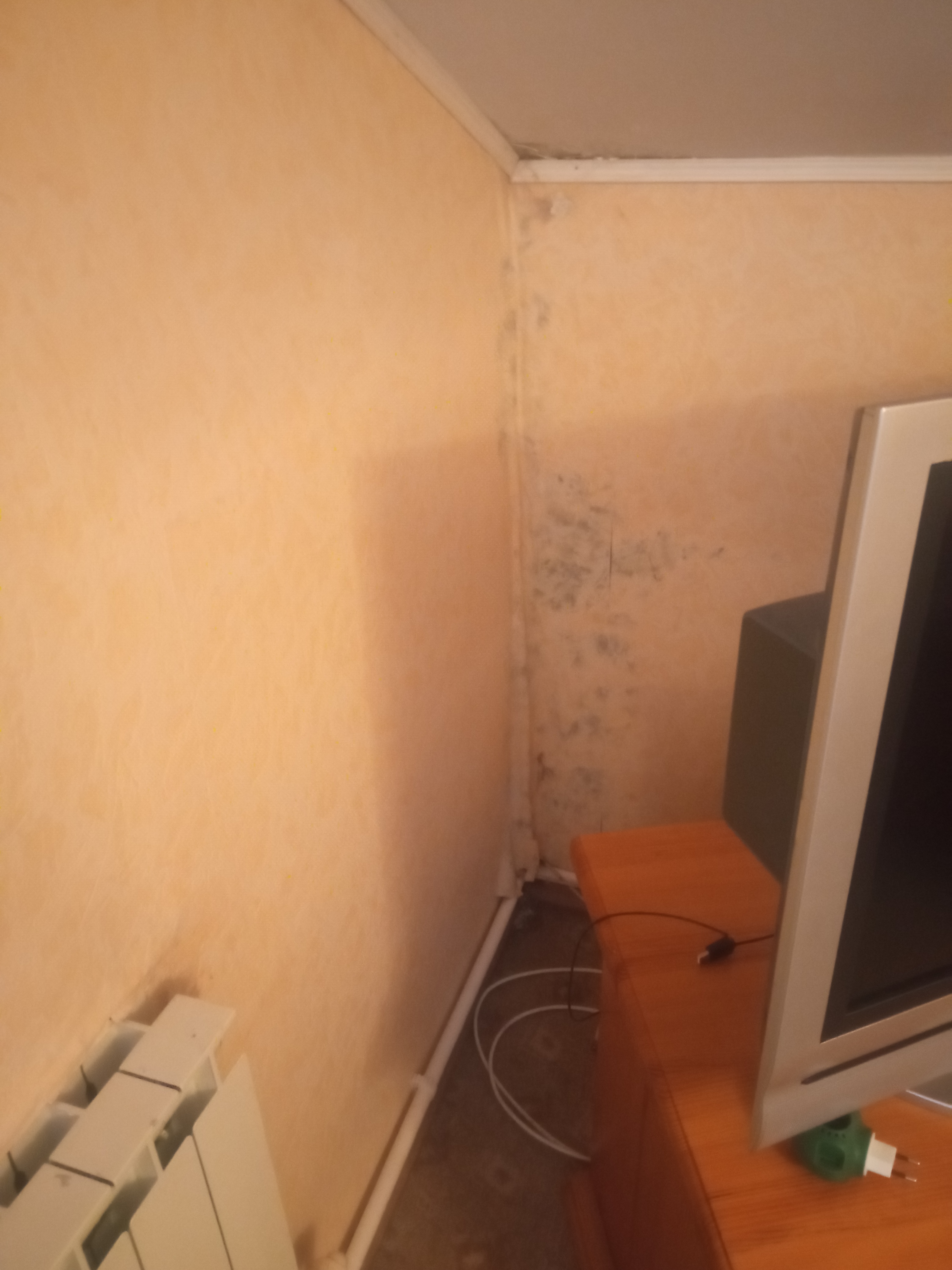 Фото Надежда