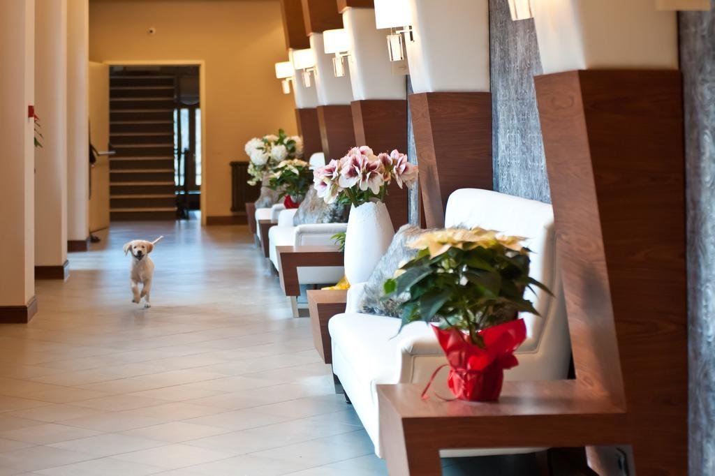 Фото Hotel Cristallo