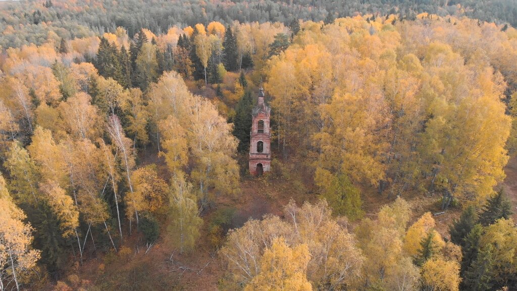 Orthodox church Tserkov Pokrova Presvyatoy Bogoroditsy na Blagoveshchenskom pogoste, Yaroslavl Oblast, photo
