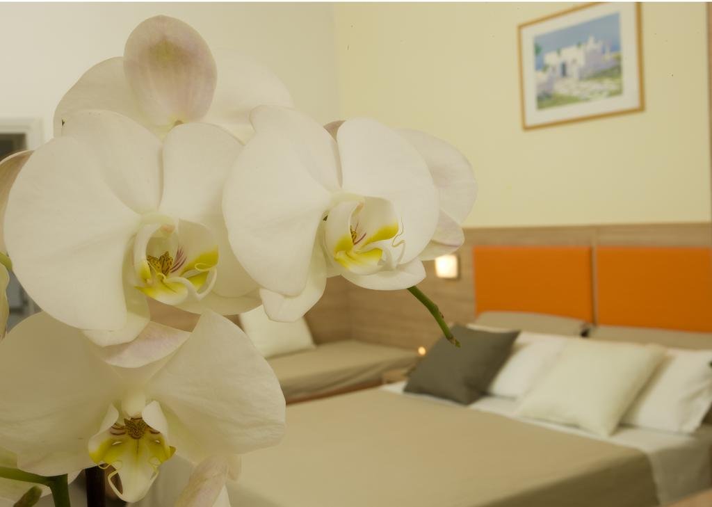 Фото Hotel Consuelo