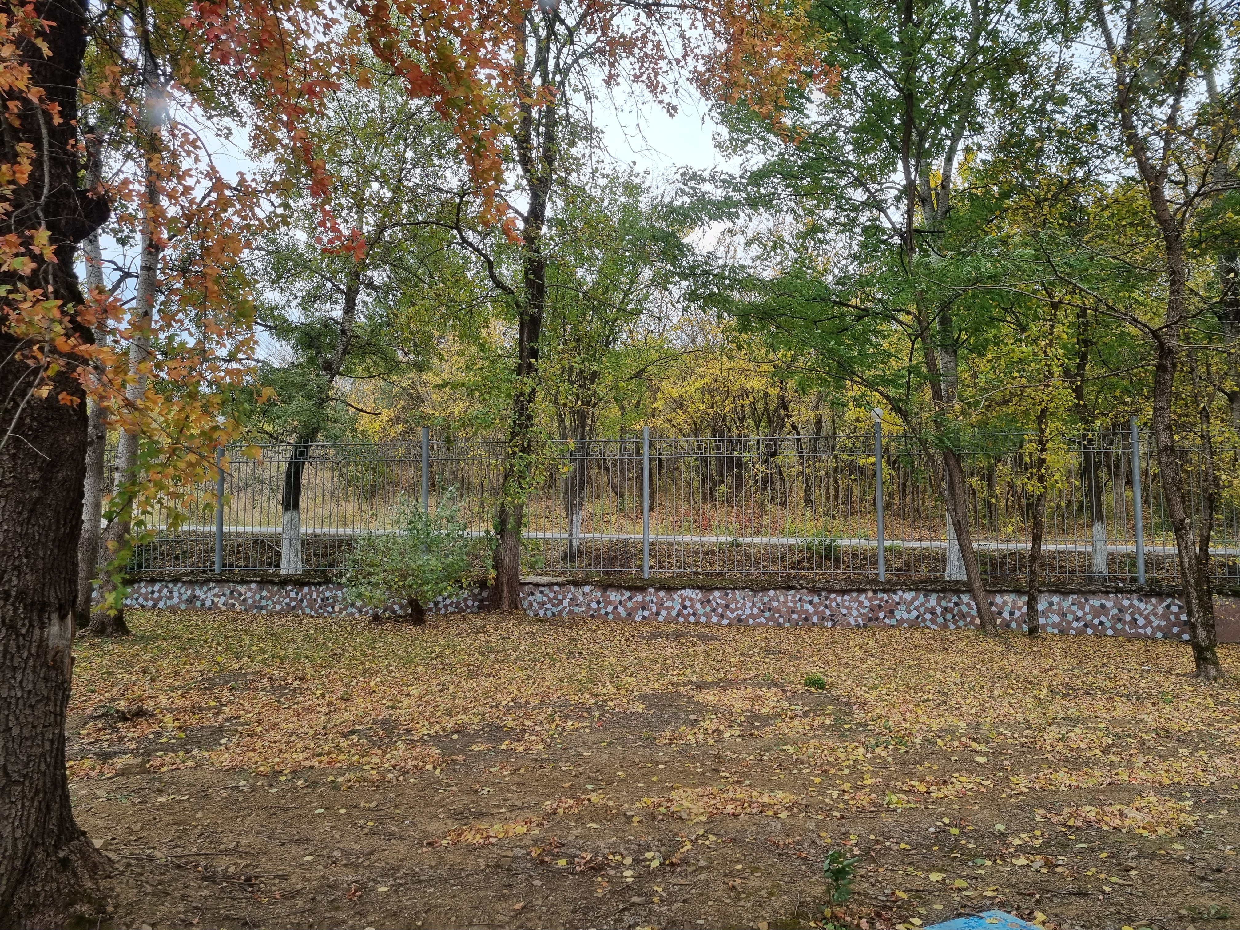 Фото Орлиный залет