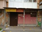 Tsentr esteticheskogo vospitaniya detey imeni Georgiya Maslyakova (Volodarskogo Street, 4) ، نوادي الأطفال والمراهقين