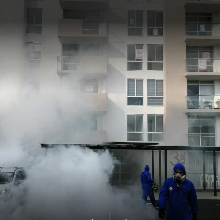 Disinfection, disinsection, deratization Fumigaciones J. C, Risaralda Department, photo