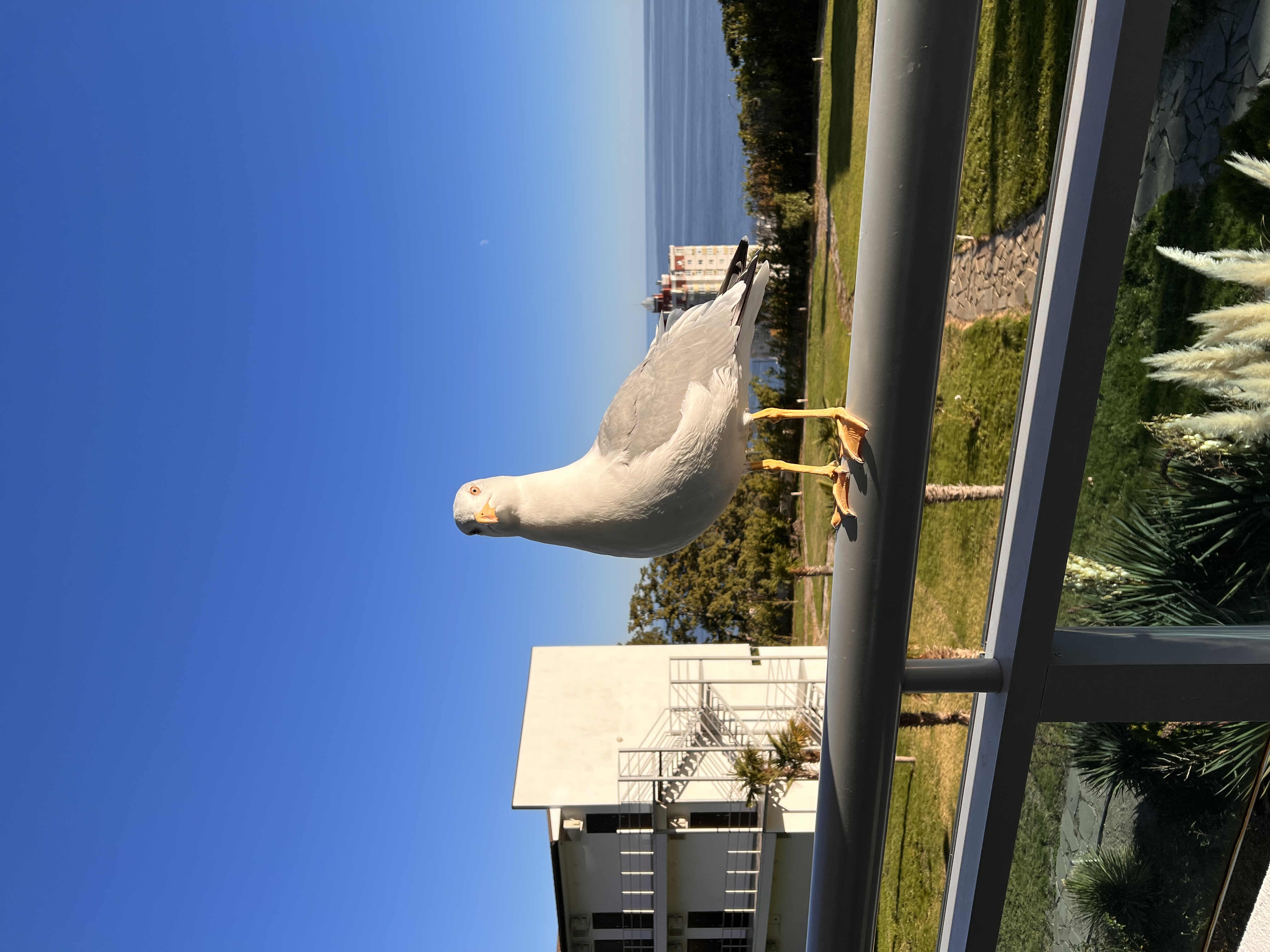 Фото Respect Hall Resort & SPA