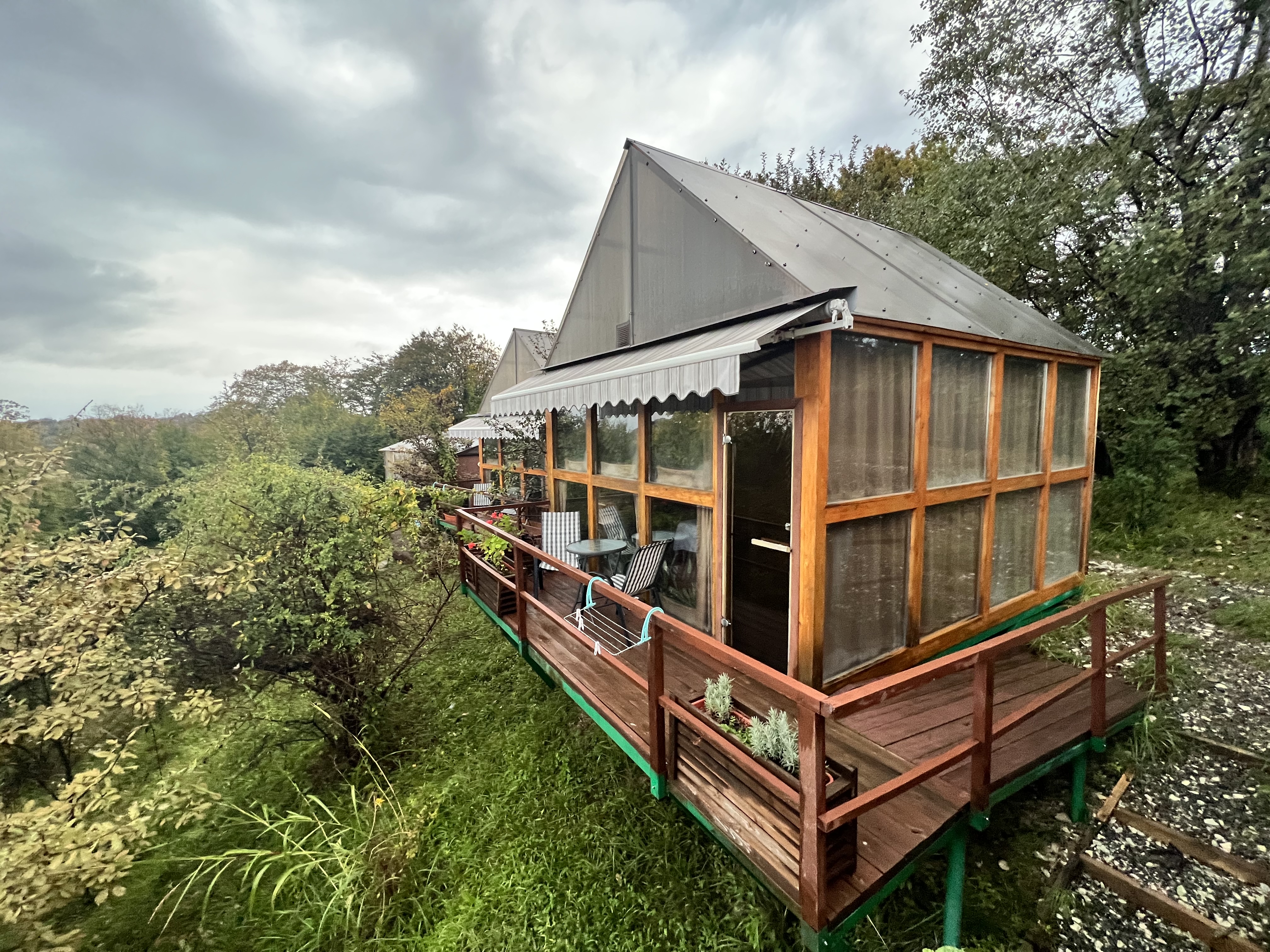 Фото Оранжереи