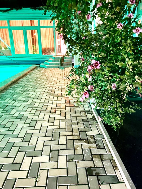 Фото Континент Резорт