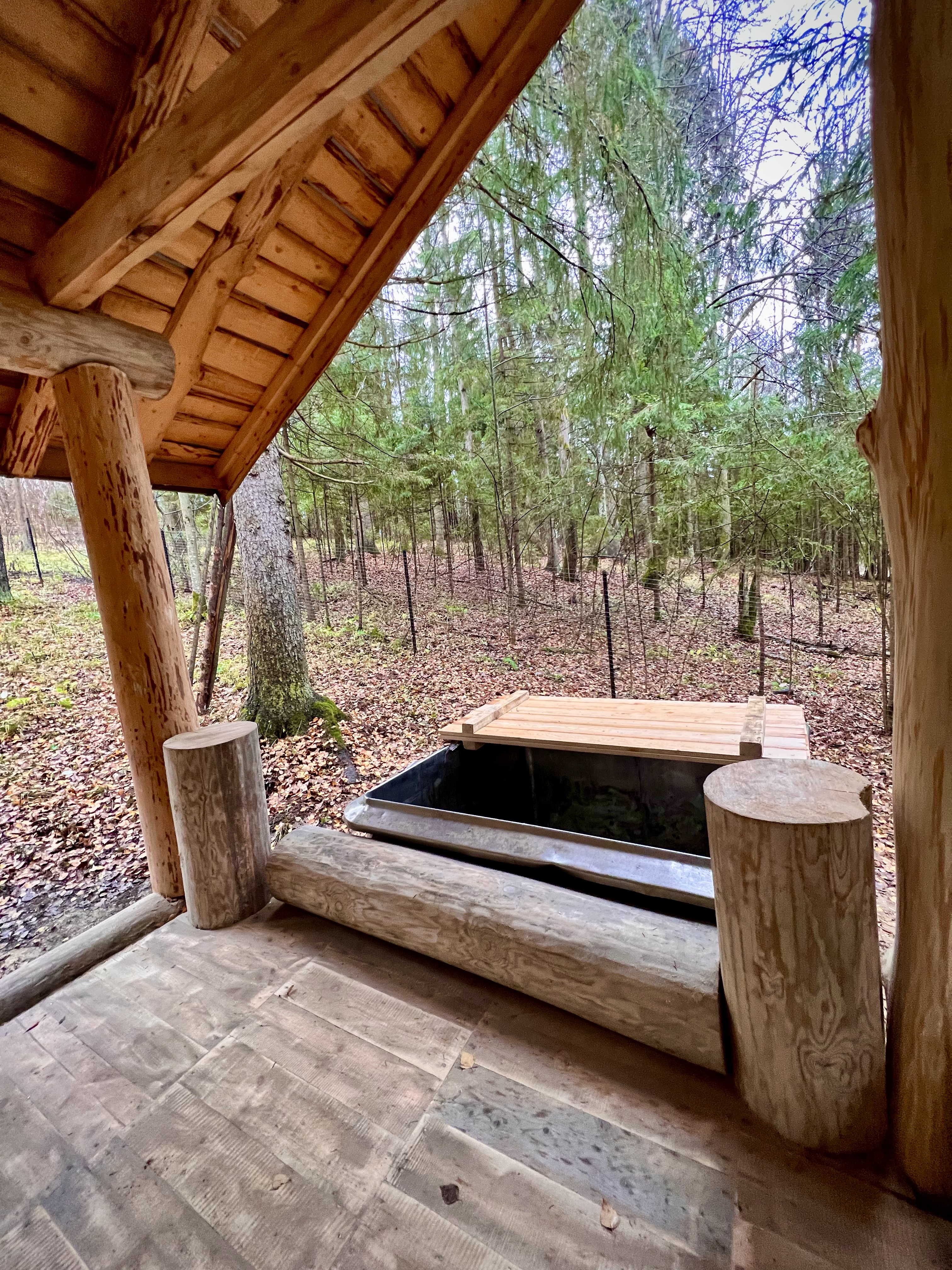 Фото У Лыжника