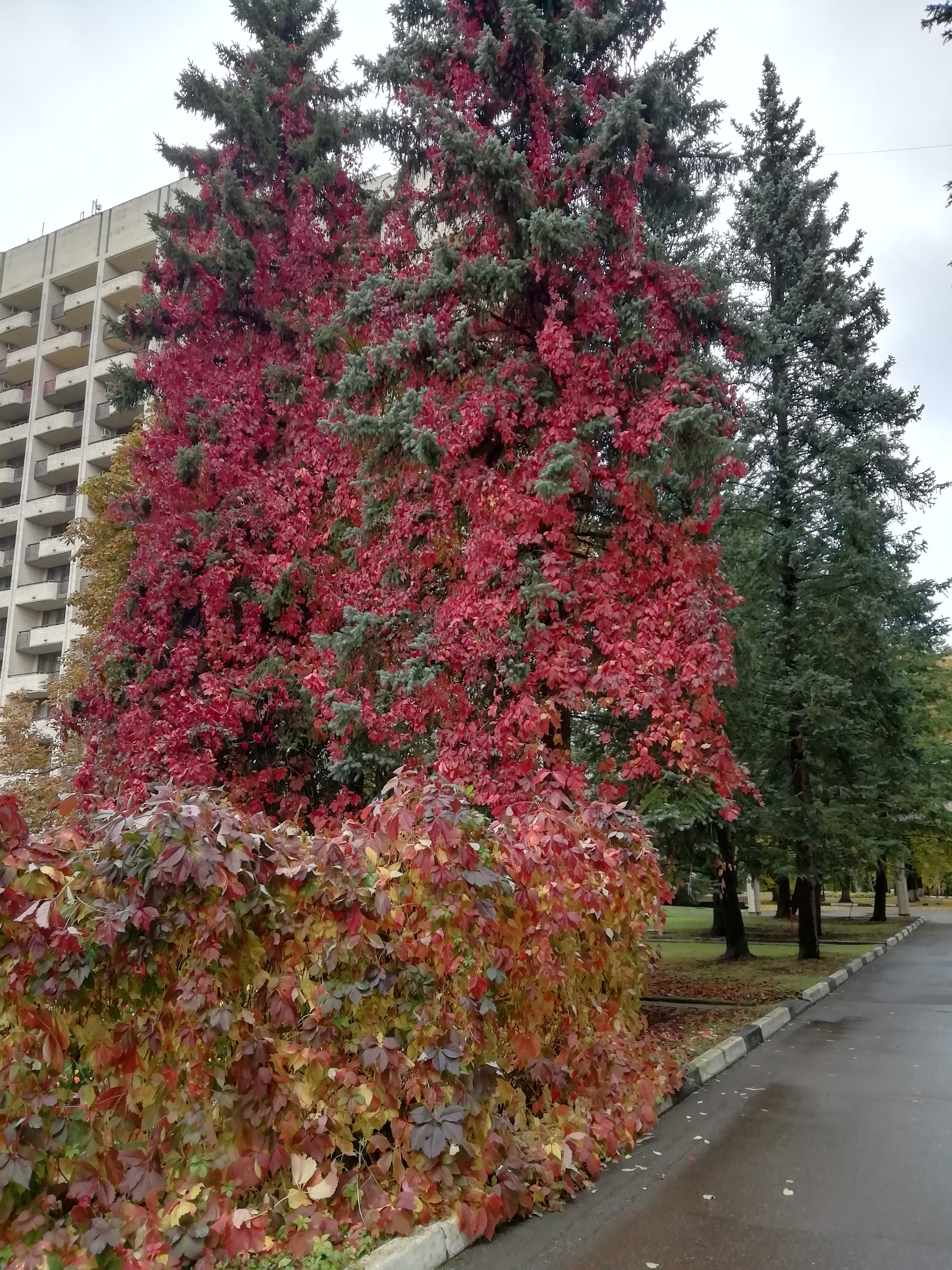 Фото Санаторий Пушкино