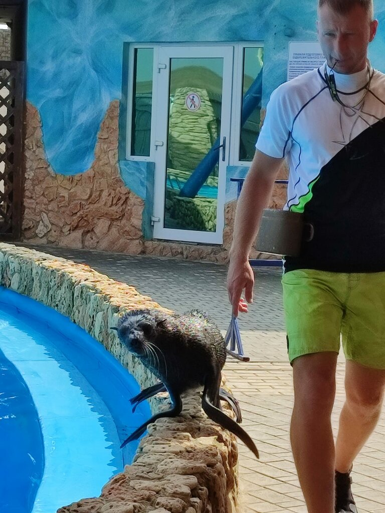 Oceanarium Theater of marine animals Exotic-Park, Republic of Crimea, photo