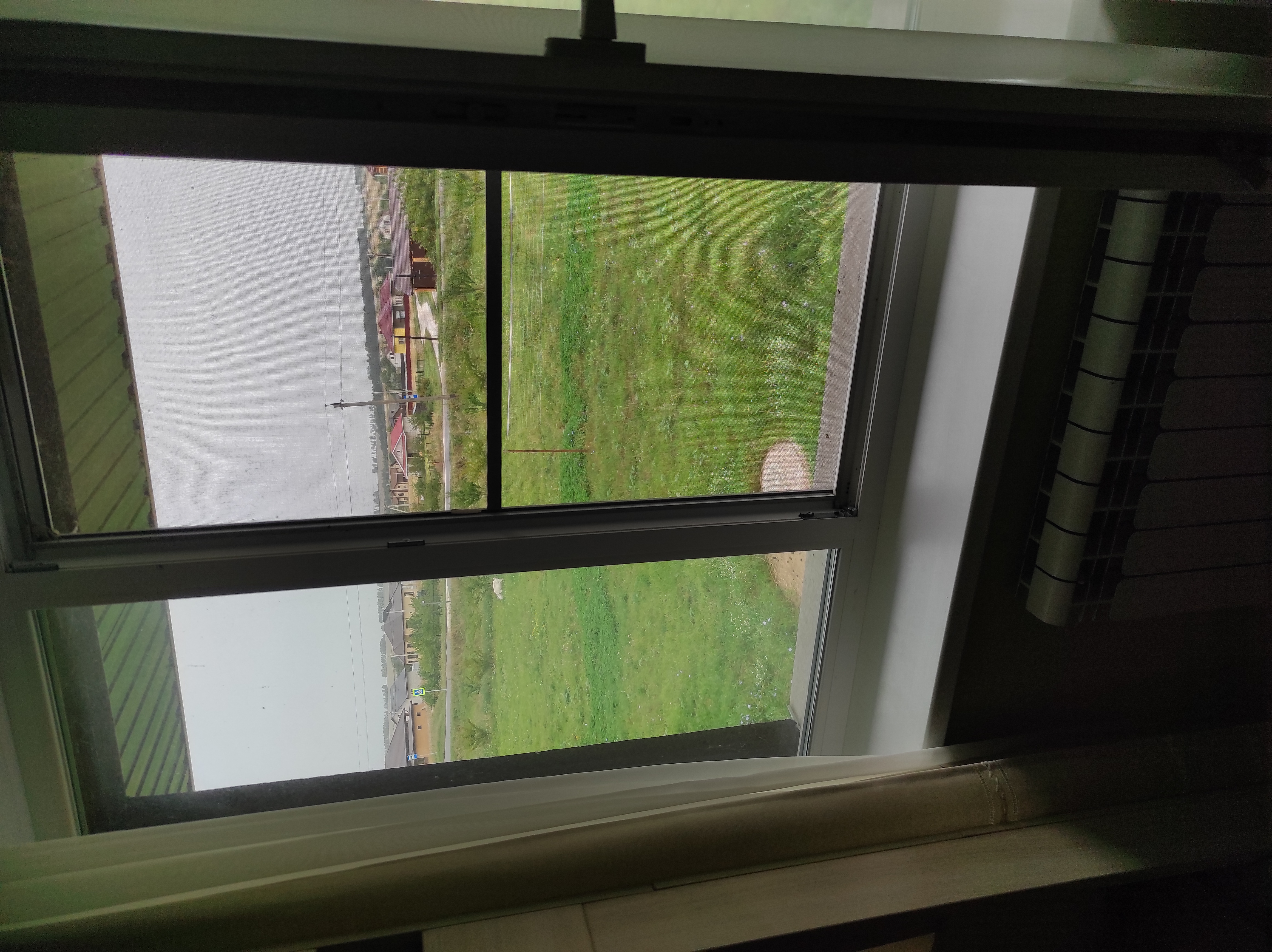 Фото Берёзка