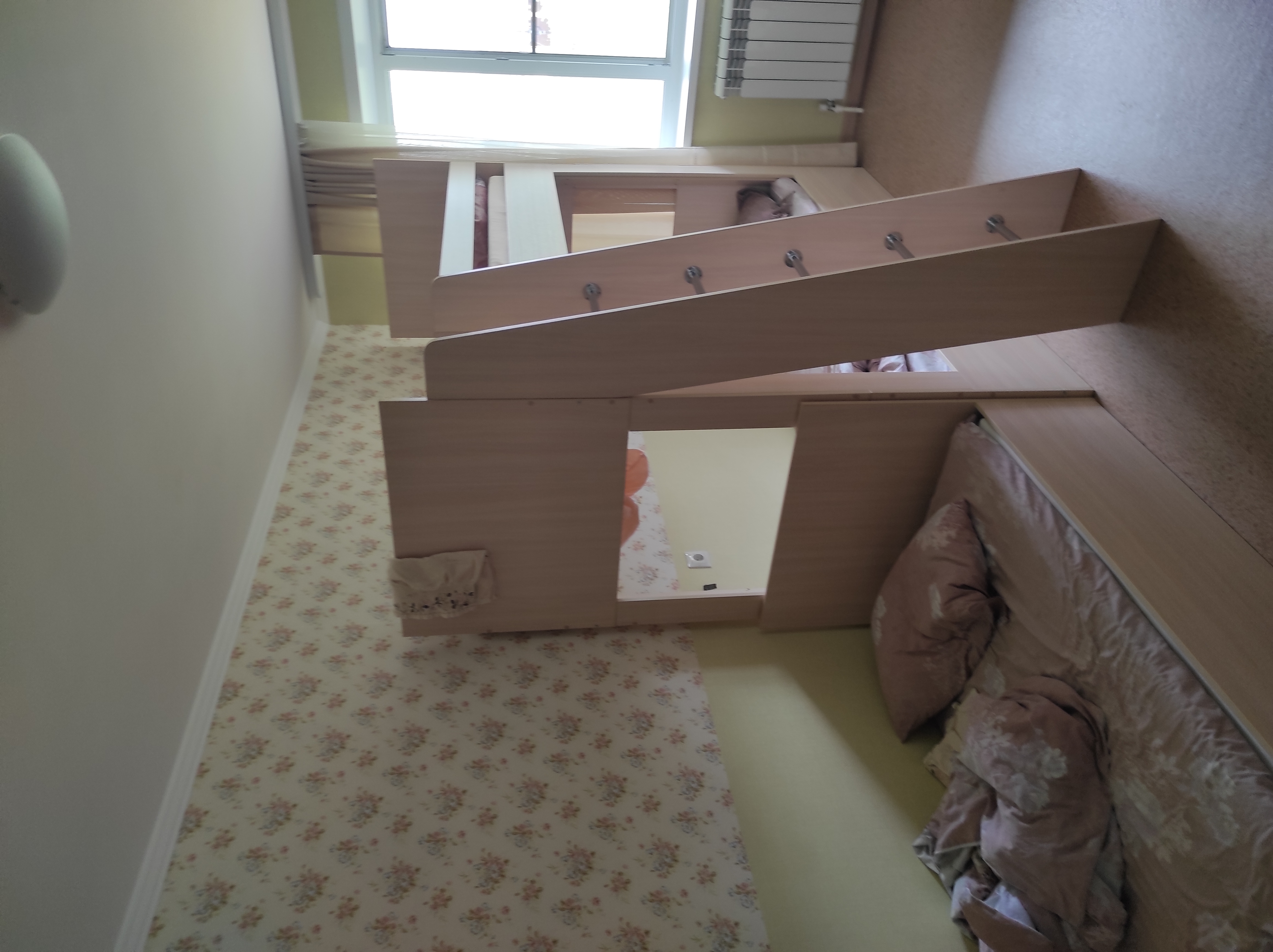 Фото Берёзка