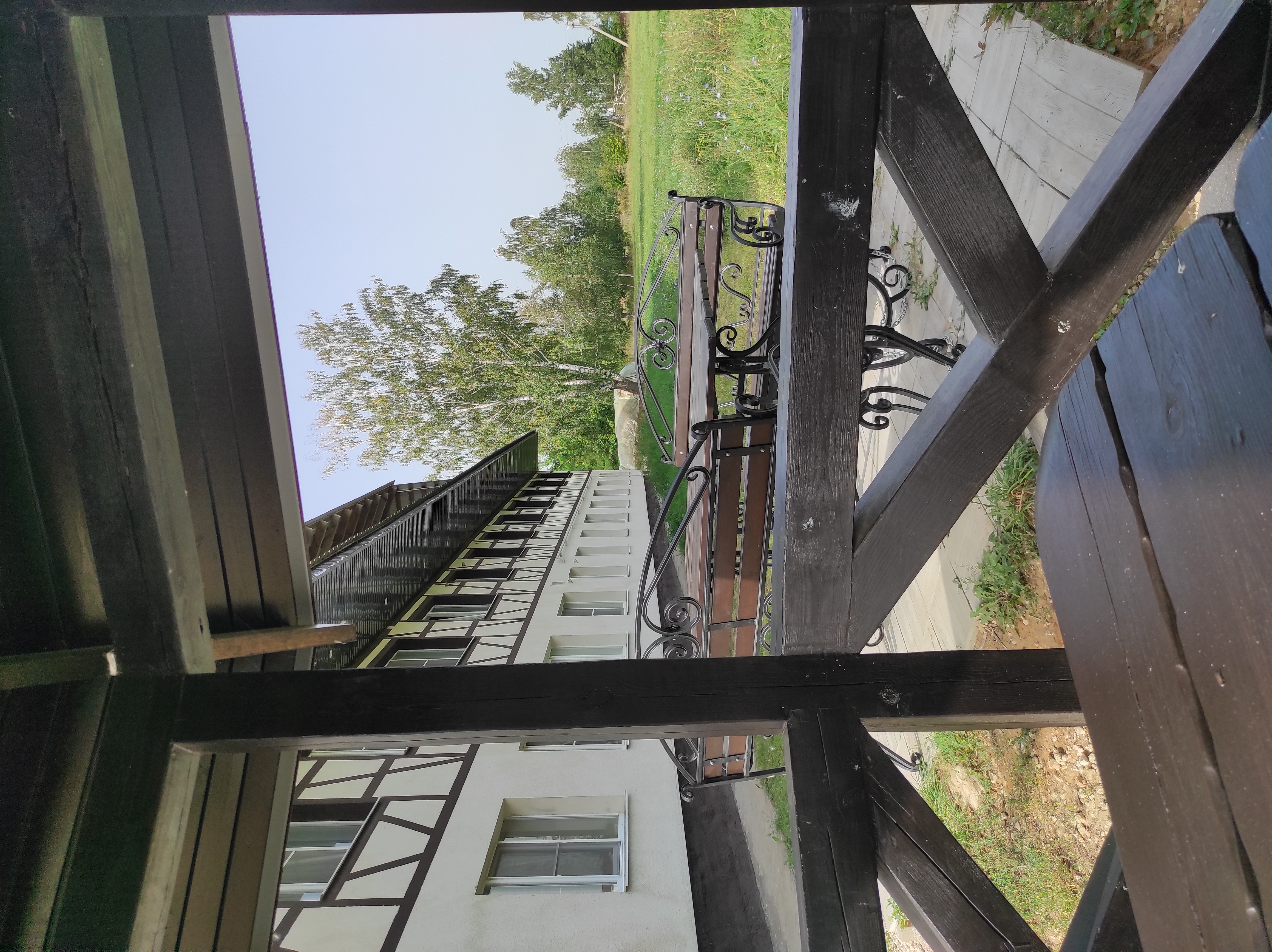 Фото Берёзка