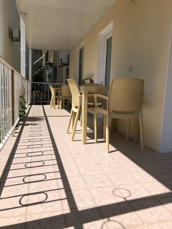 Фото Фламинго