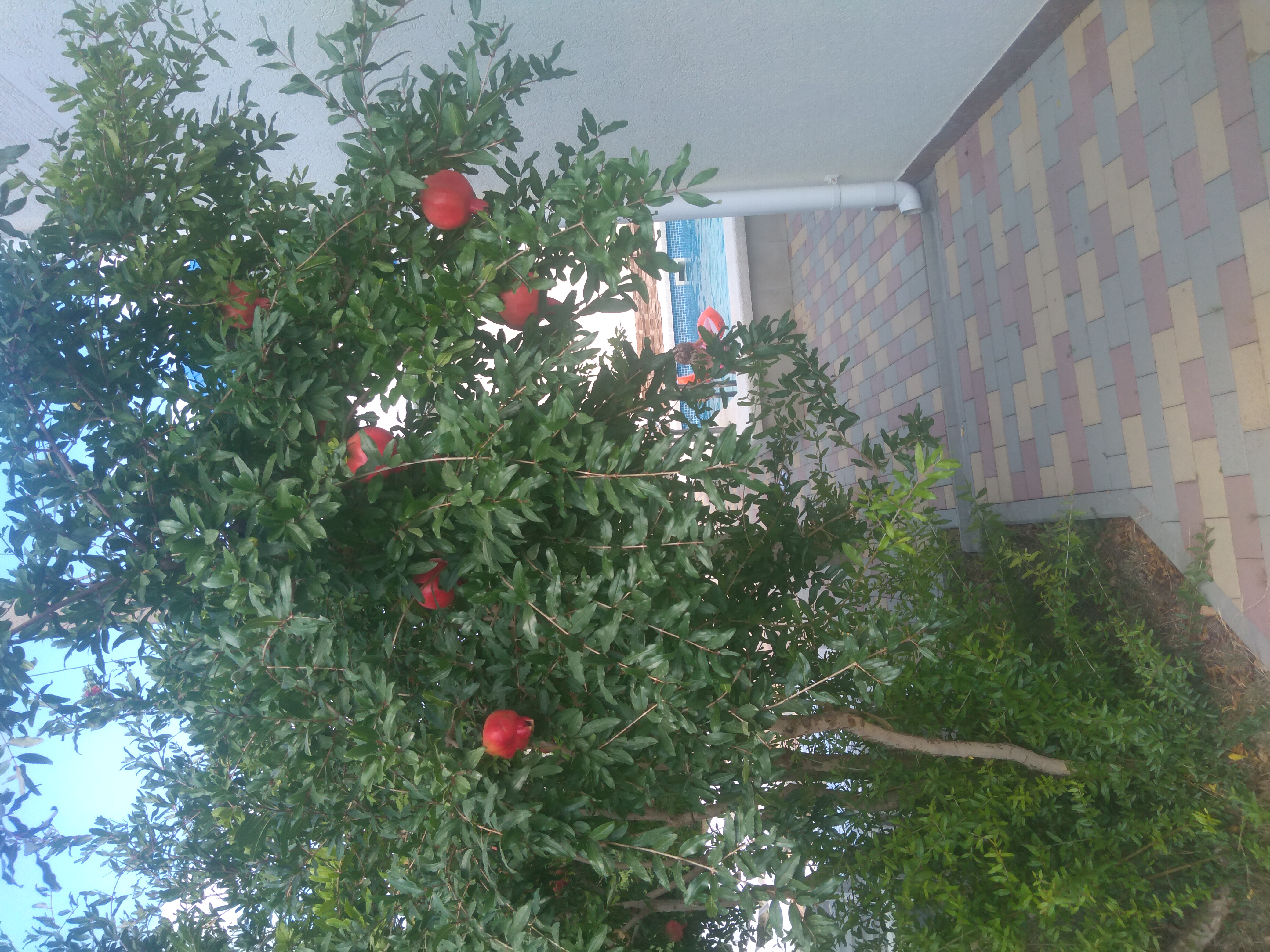 Фото Ангелина