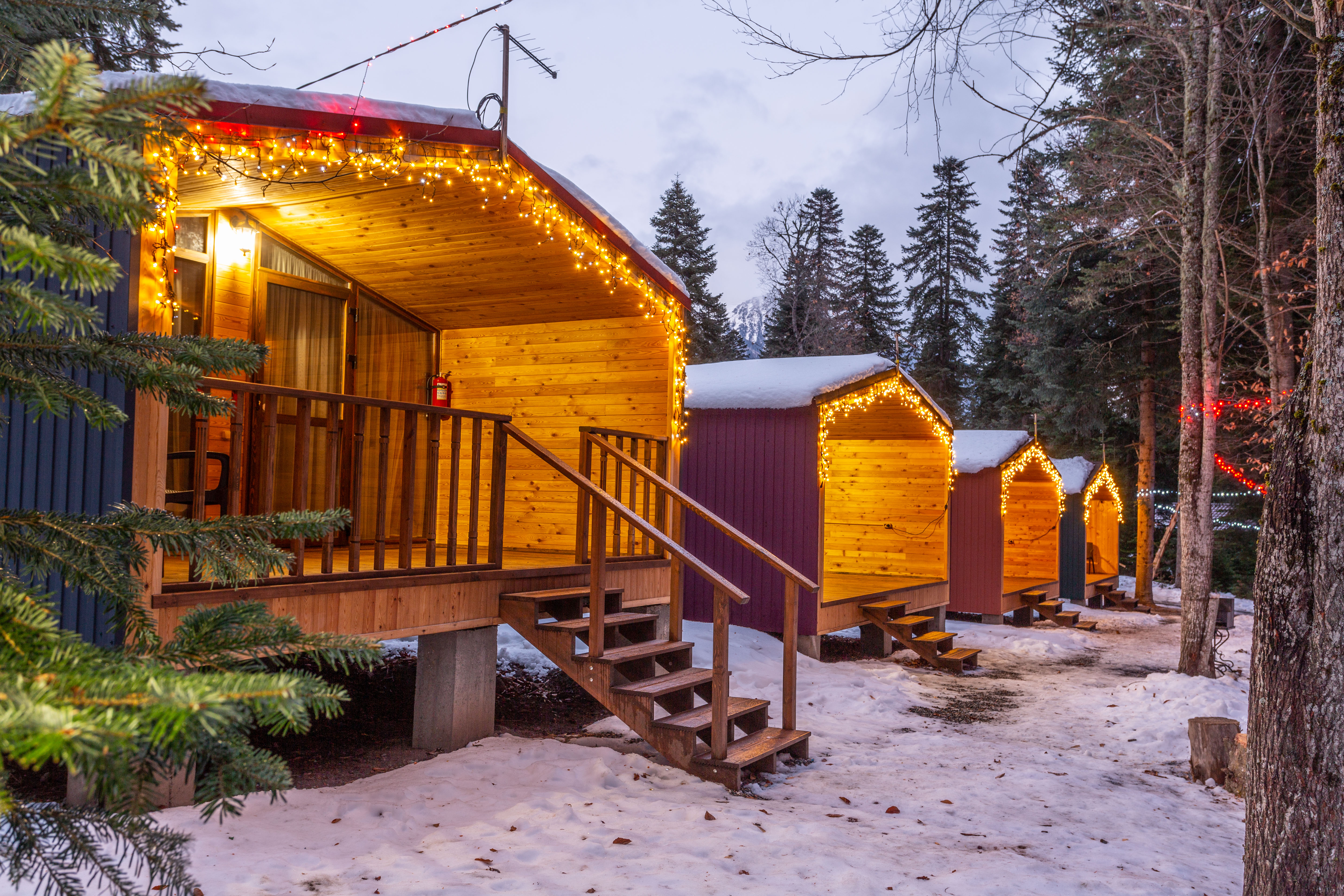 Фото Forest House Resort