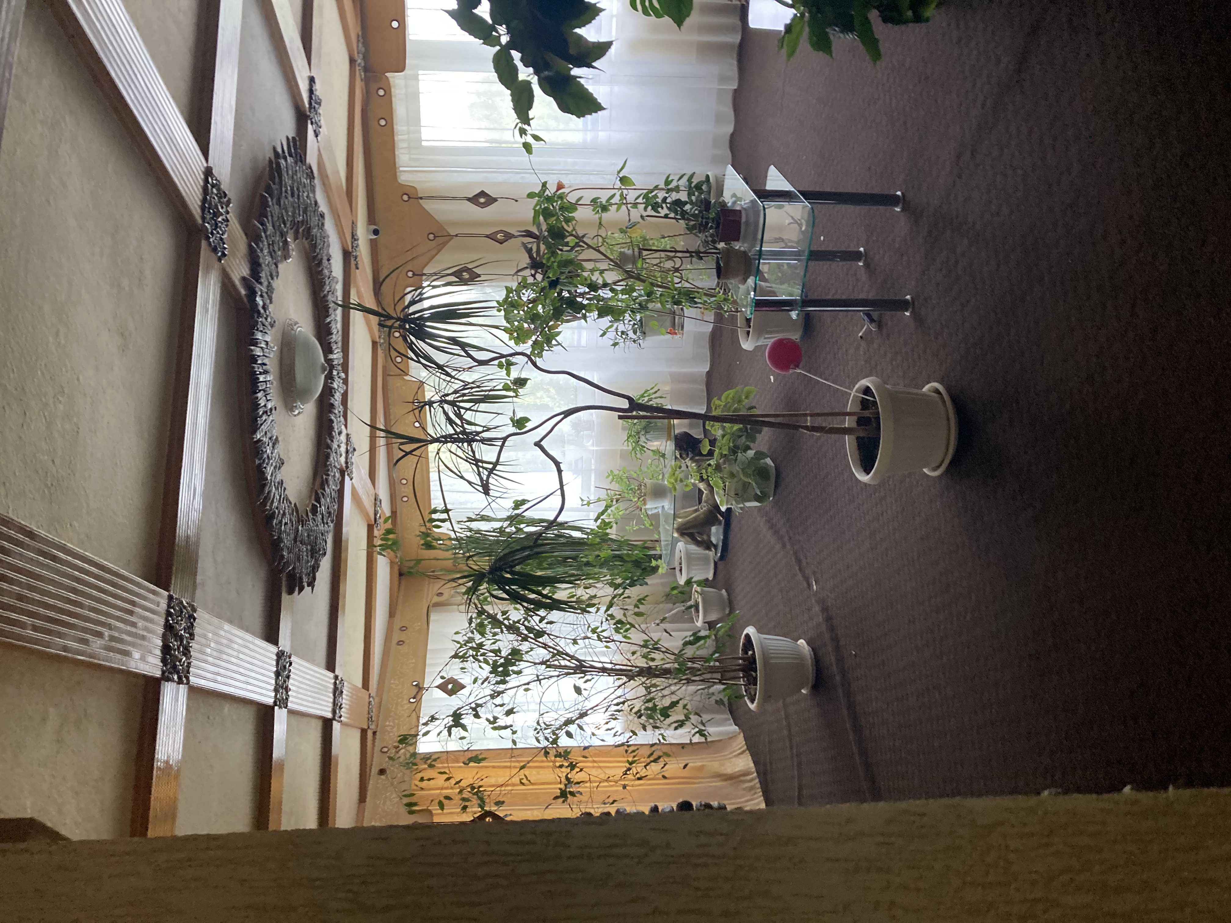 Фото Фантазия